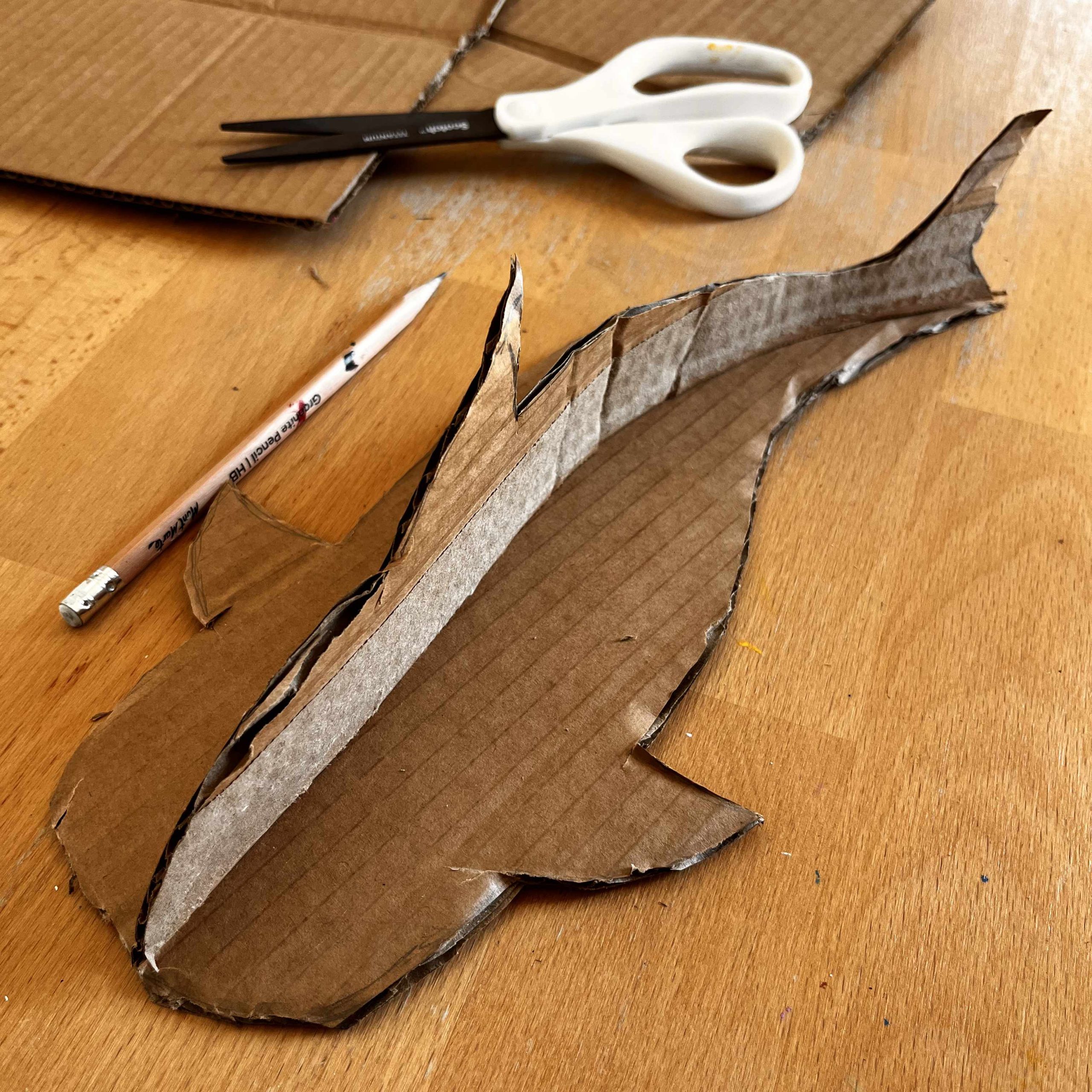 whale shark step 1